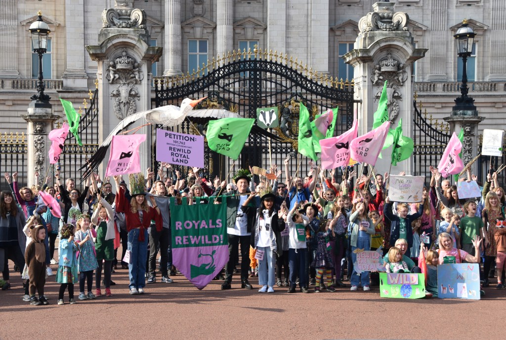 Faculty strikers title on the Royals to rewild their land