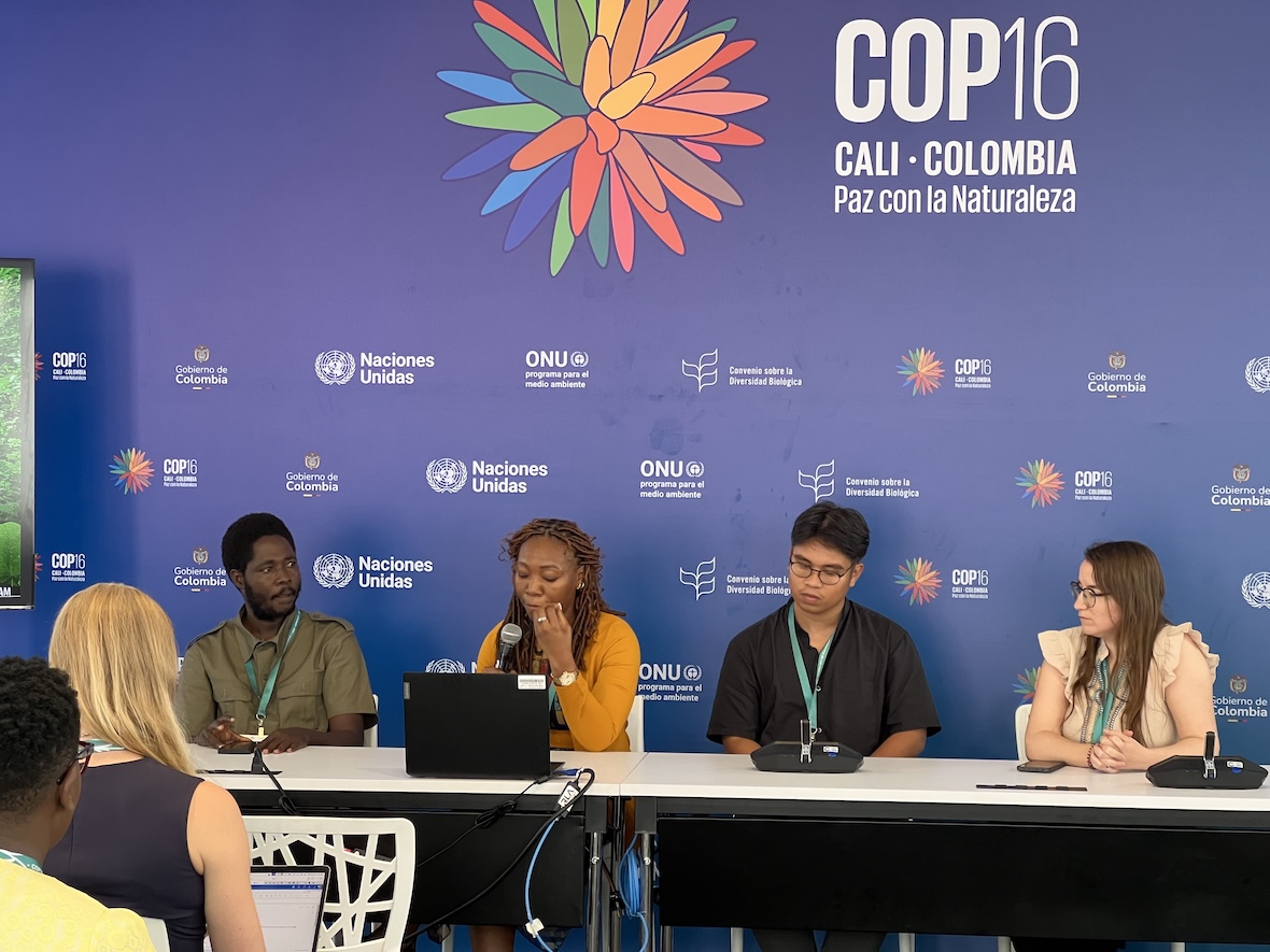 Why Africa’s Youth Voice is Very important to COP16 Biodiversity Talks