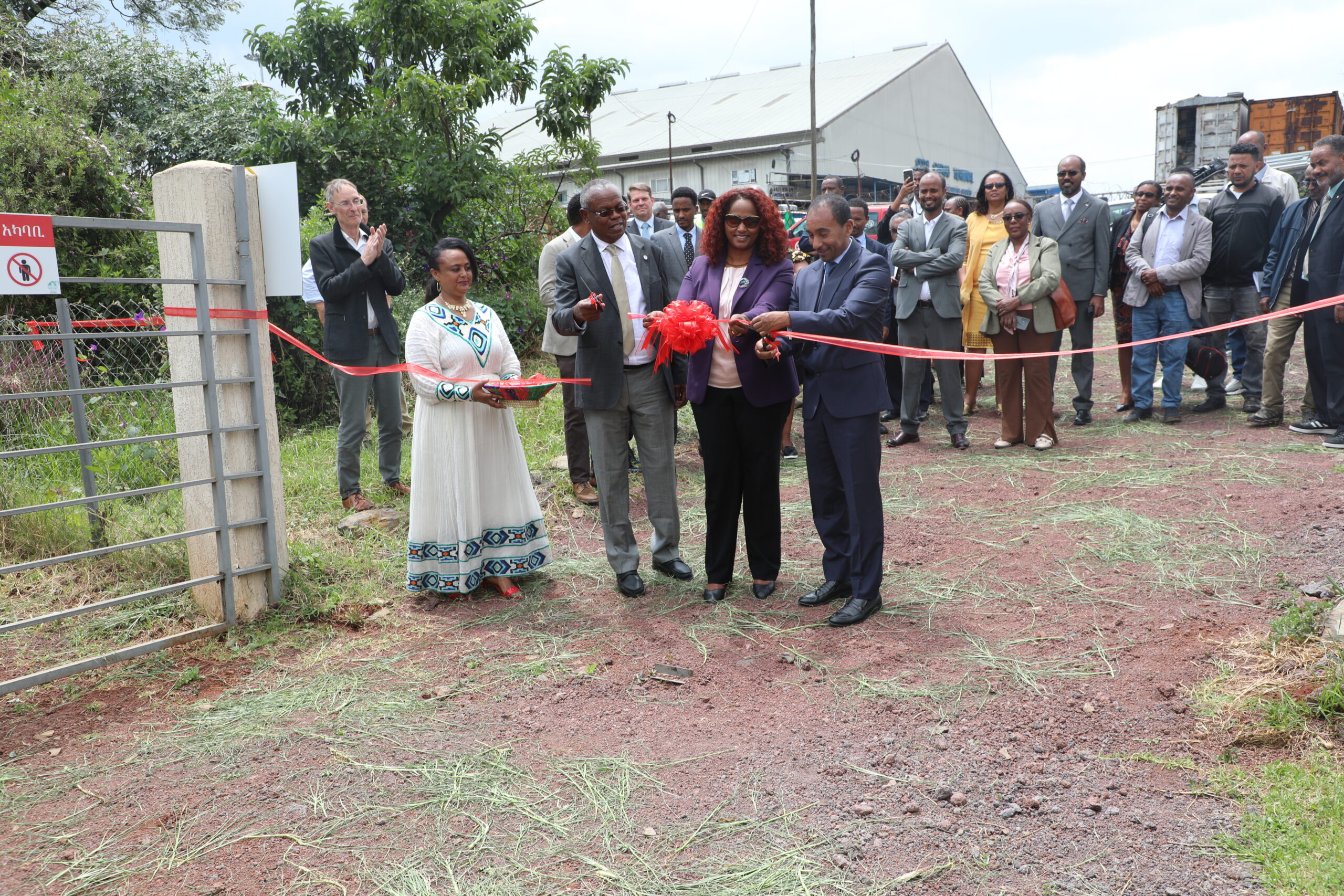 Ethiopia’s Bole Airport Introduces AWF-trained Detection & Deterrence Canines to Strengthen Struggle In opposition to Wildlife Crime